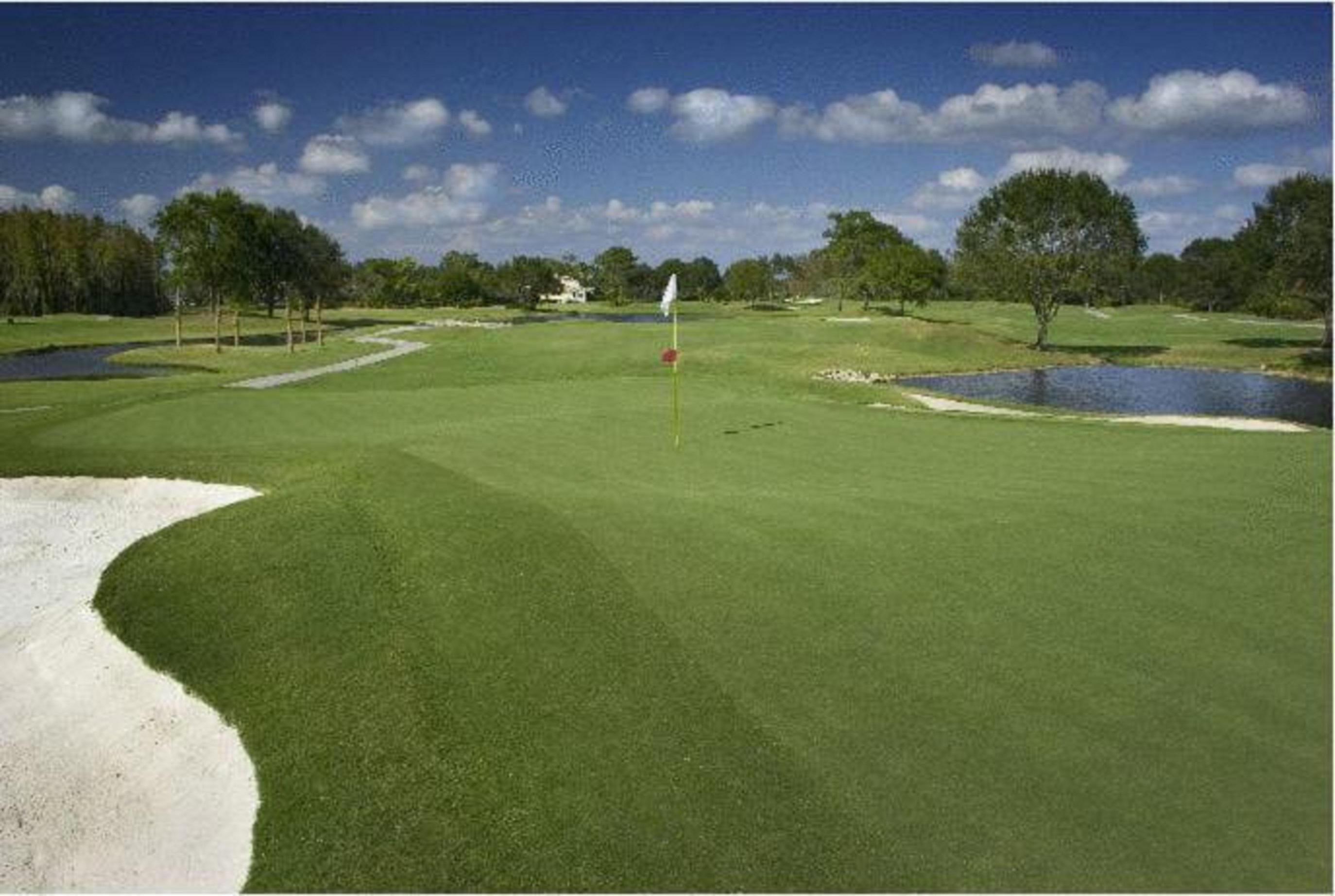 Saddlebrook Golf Resort & Spa Tampa North-Wesley Chapel Dış mekan fotoğraf