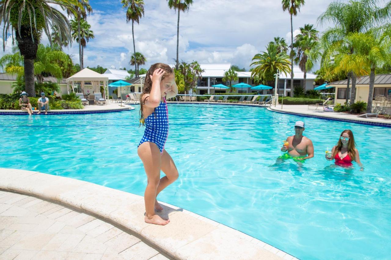 Saddlebrook Golf Resort & Spa Tampa North-Wesley Chapel Dış mekan fotoğraf
