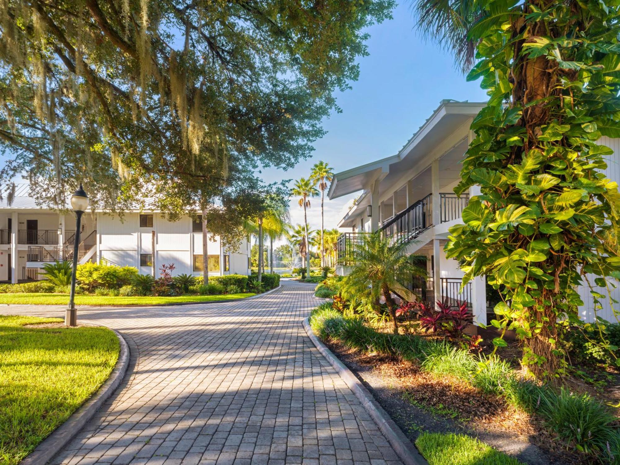 Saddlebrook Golf Resort & Spa Tampa North-Wesley Chapel Dış mekan fotoğraf