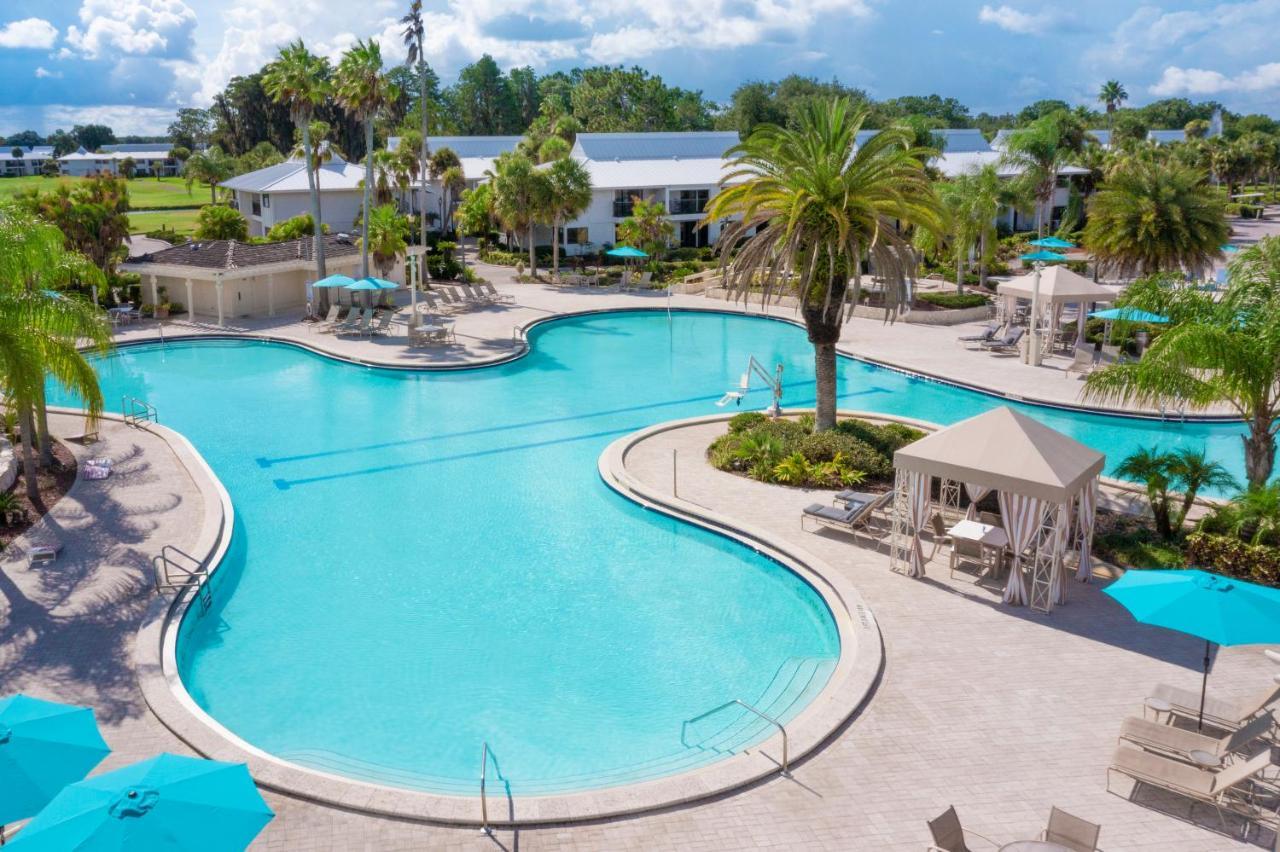 Saddlebrook Golf Resort & Spa Tampa North-Wesley Chapel Dış mekan fotoğraf